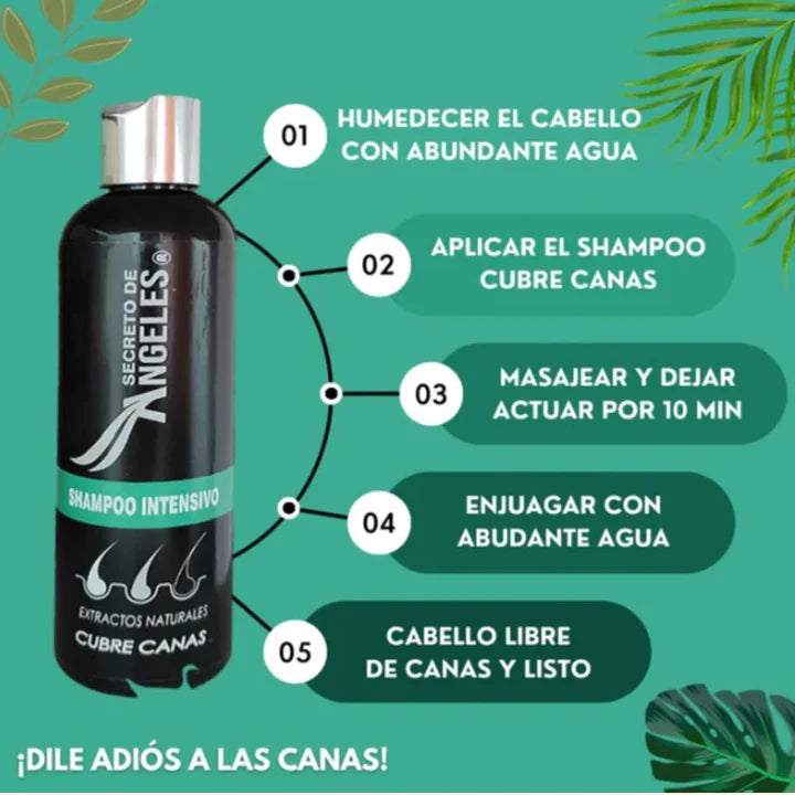 Shampoo Cubre canas + Obsequios