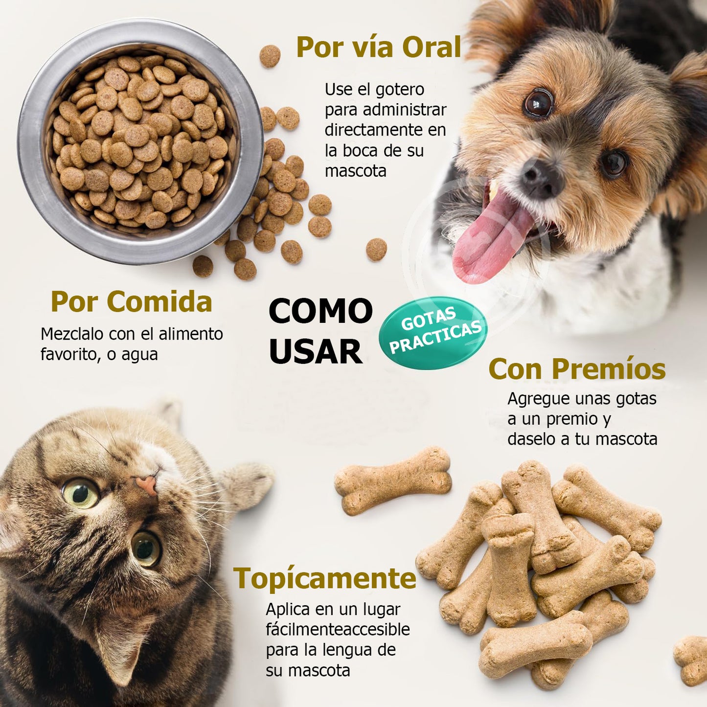 Suplemento Pet Helm Oil Charlie & Buddy