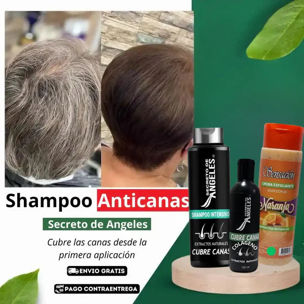 Shampoo Cubre canas + Obsequios